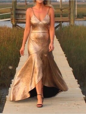 Hutch metallic Dress